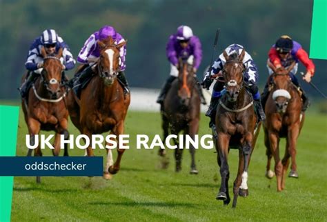 oddschecker tips